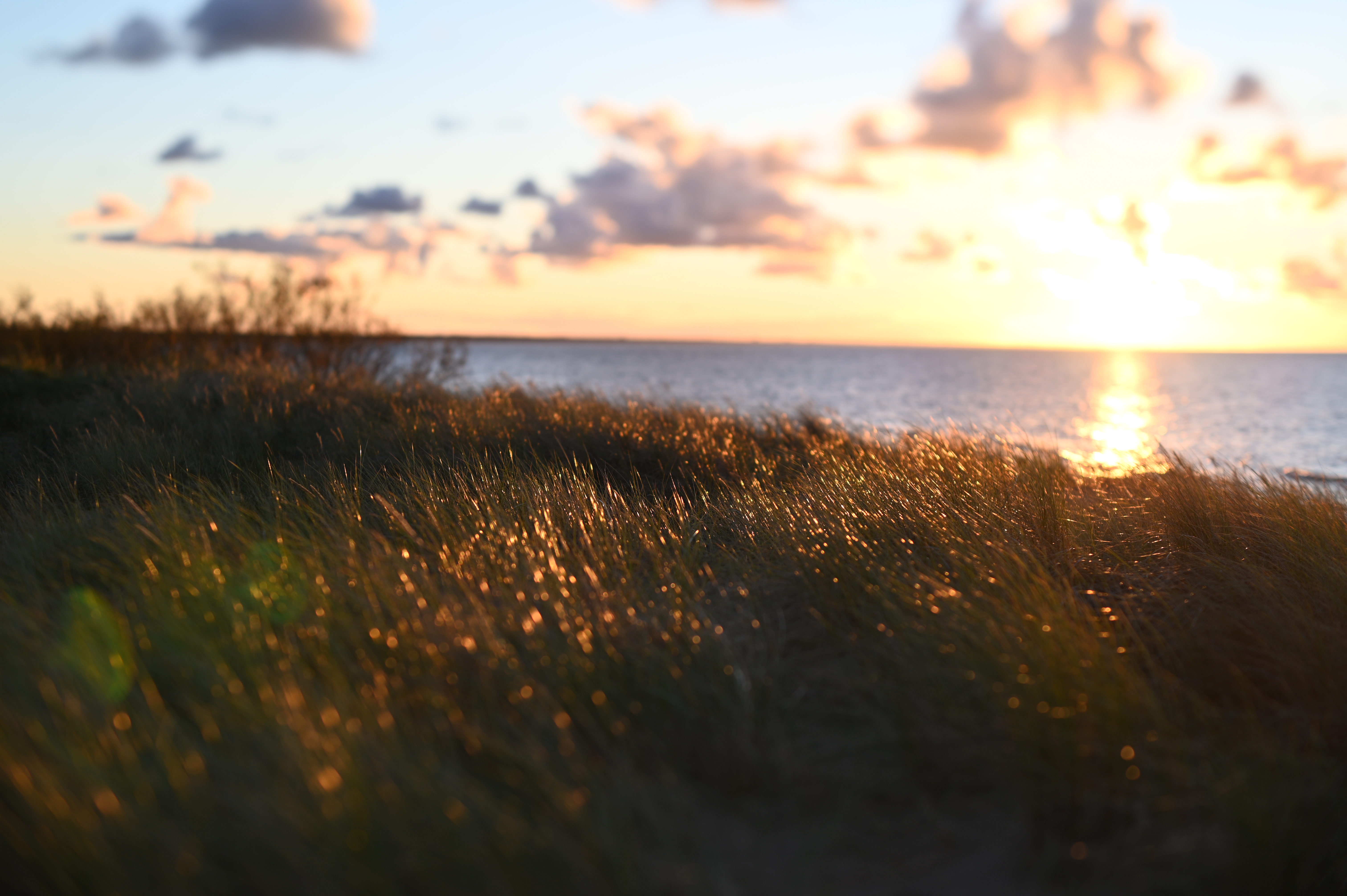 2025/10/18 - walk/DSC_0381.JPG